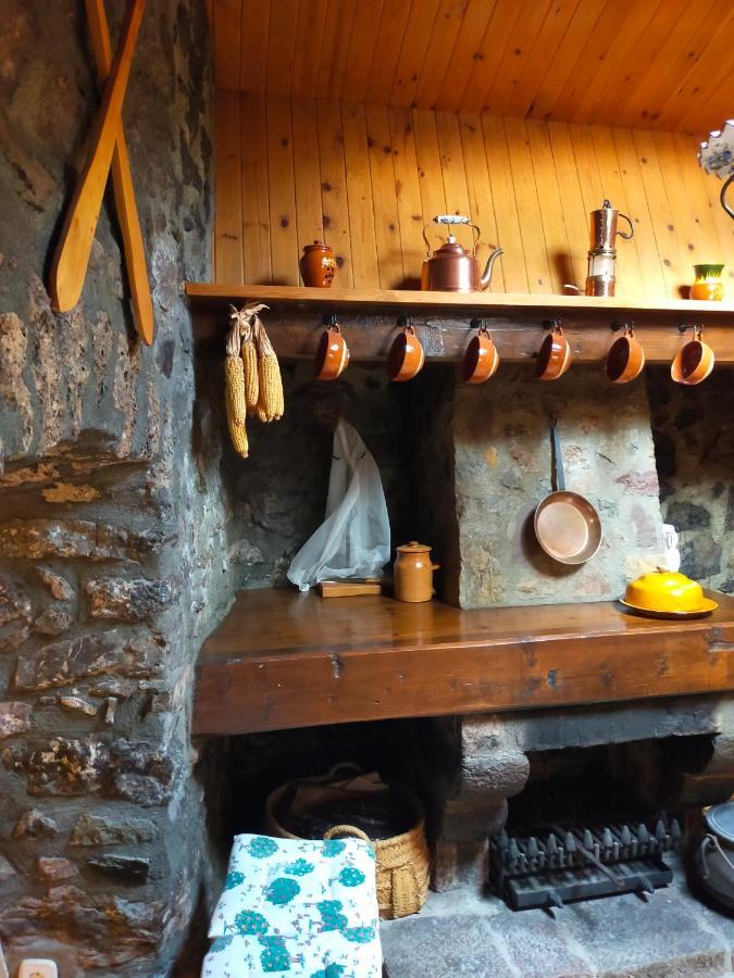 Willa Cal Ferrer Habitatge Rural Cava Zewnętrze zdjęcie
