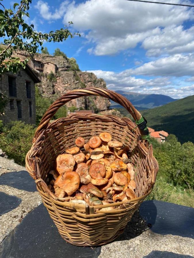 Willa Cal Ferrer Habitatge Rural Cava Zewnętrze zdjęcie
