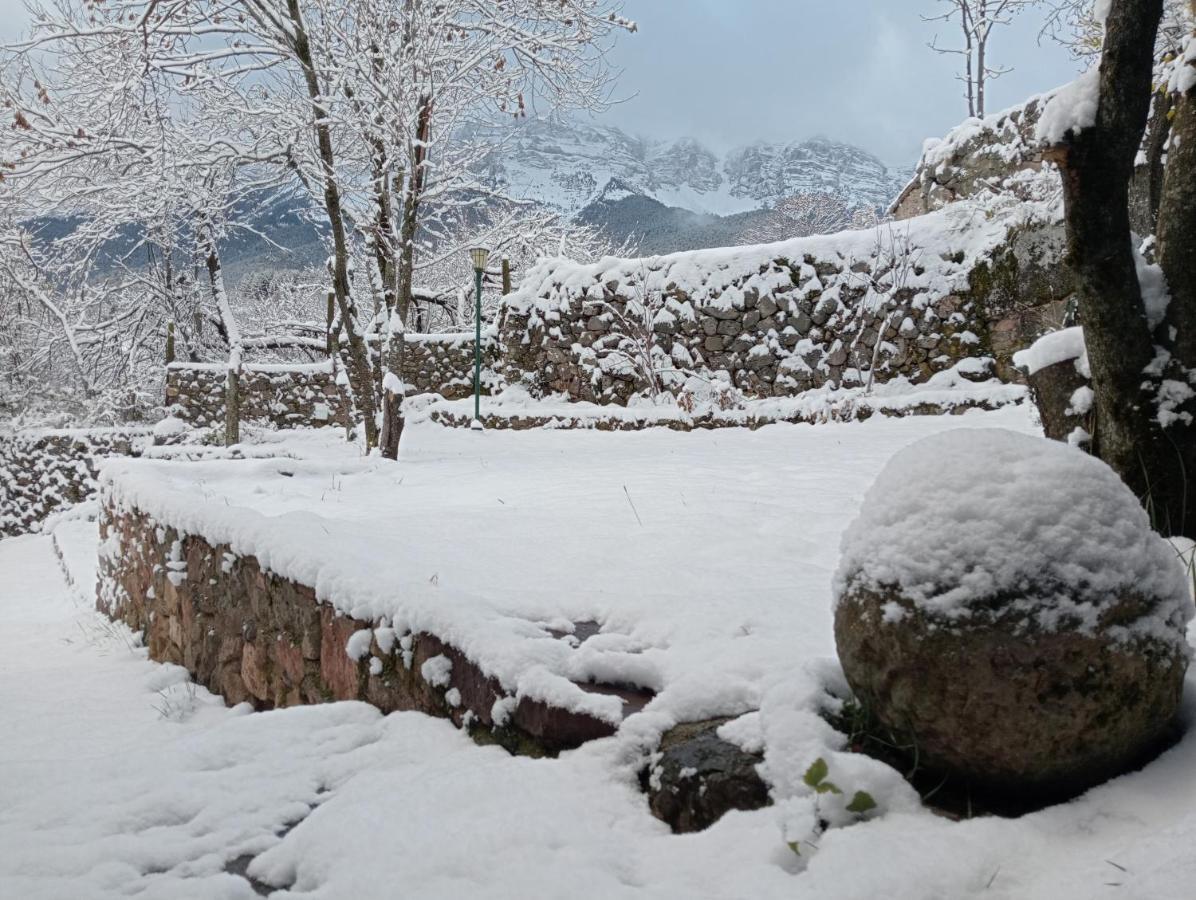 Willa Cal Ferrer Habitatge Rural Cava Zewnętrze zdjęcie